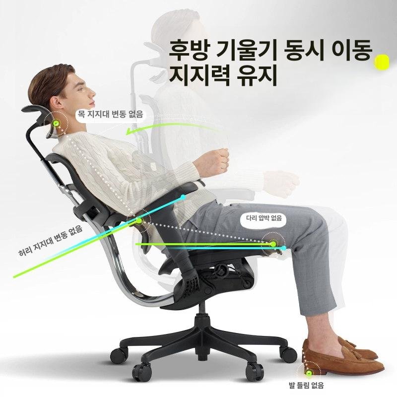 Ergohuman B이글 인체공학 사무용 의자, 회전식 높이 조절 팔걸이, 실버화이트 상세 이미지 1