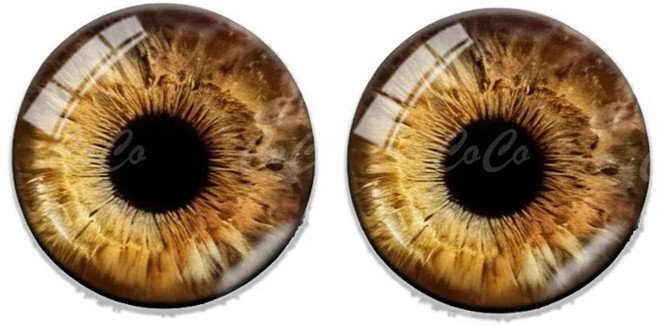 인형 눈알 유리 눈 재미있는 시간 동물 공룡 공예, 1개, 색상: 6. R052-1 / 크기: F. 14mm